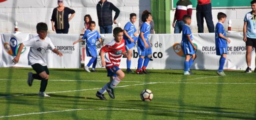 Copa futbol base Ciudad de Pozoblanco