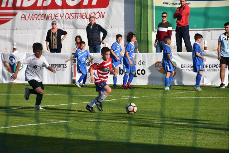 Copa futbol base Ciudad de Pozoblanco