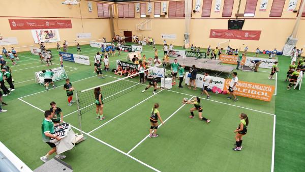 Torneos de voleibol CADEBA y OPEN Promesas
