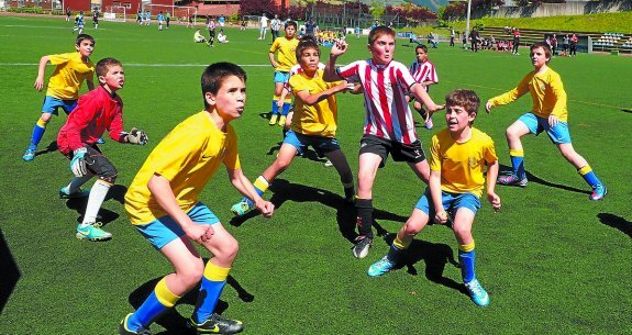 Torneos de fútbol 7 y 8 para alevines