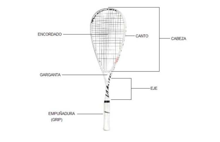Partes de la raqueta
