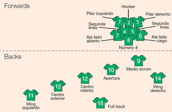 Posiciones de los jugadores forwards y backs
