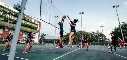Posiciones en el voleibol de los jugadores durante un partido