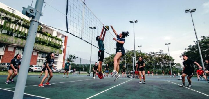 Posiciones en el voleibol de los jugadores durante un partido