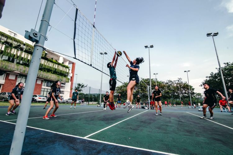 Posiciones en el voleibol de los jugadores durante un partido