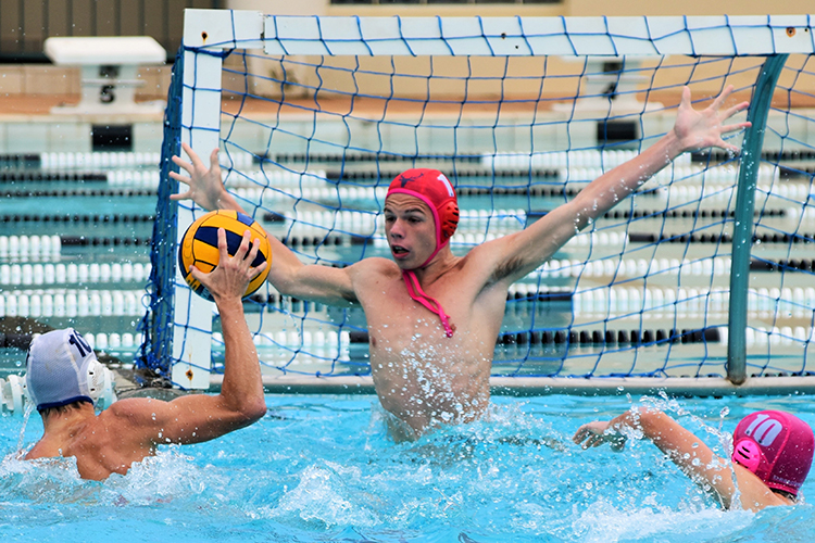 Reglas del waterpolo, jugadores y posiciones 