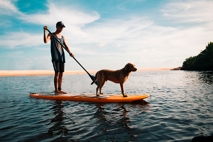 Beneficios y modalidades del paddle surf o sup