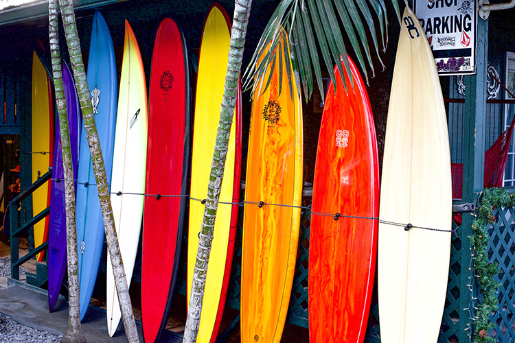Equipamiento y tablas de surfing: evolutiva, minimalibú, fish