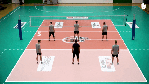 Posições do voleibol: fullbacks, especialistas em defesa, libero