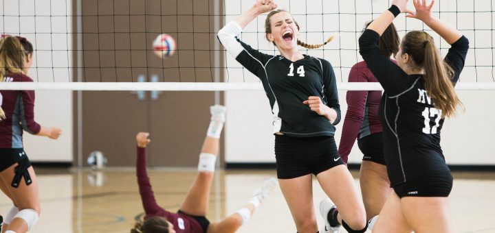 Red del campo de voleibol. Jugadoras y la pelota