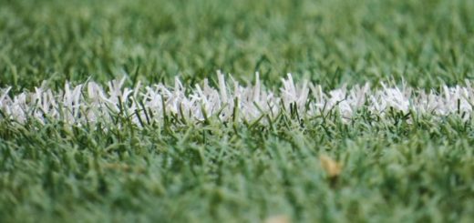 Entretenimiento en torneos esports