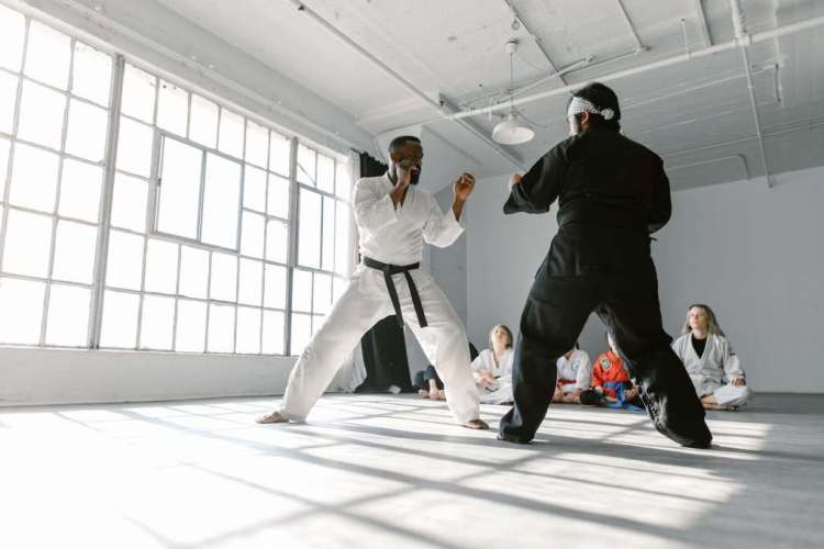 Aikido como defensa personal, artes marciales