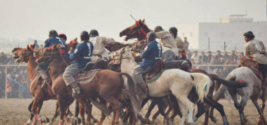 Buzkashi: Cultura en Asia central