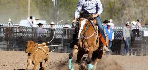 Charro o escaramuza charra haciendo suertes charras