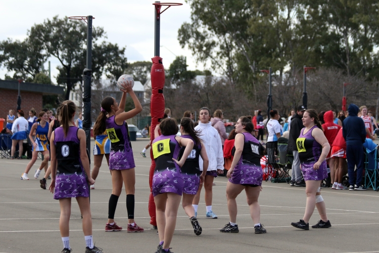 Partido de netball, korfbal, cestoball y pelota al cesto
