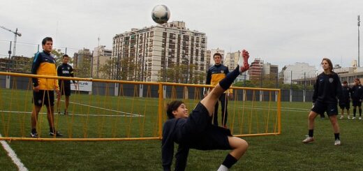 Reglamento para la cancha, pelota y red