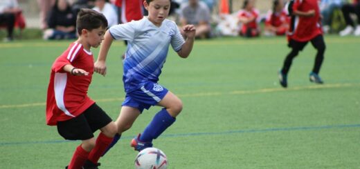 Scouting Data and Analytics in Talent Discovery