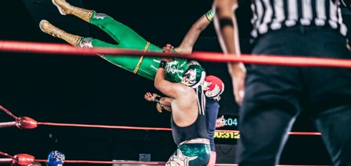 Wrestling fans who watch matches, WWE, AEW