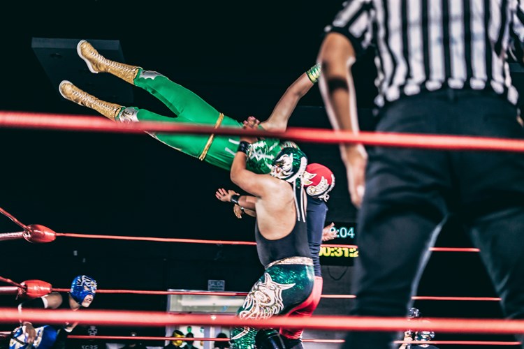 Wrestling fans who watch matches, WWE, AEW