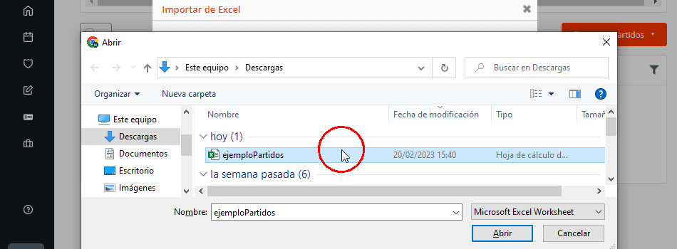 Importación de partidos del torneo con plantilla Excel